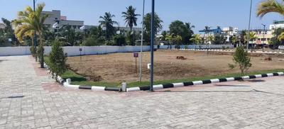Residential Plot