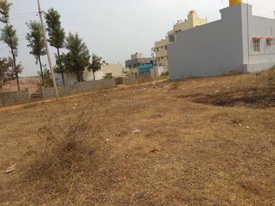Residential Plot