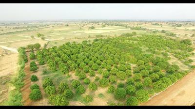 Residential Plot