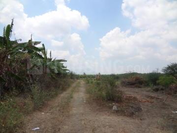 Gallery Cover Image of Sq.ft Residential Plot for buy in RS Puram for 66000000
