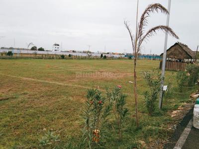 Residential Plot
