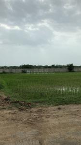 16200 Sq.ft Residential Plot for Sale in Bodakdev, Ahmedabad