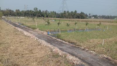 Gallery Cover Image of Sq.ft Residential Plot for buy in Bara Gagan Gohalia for 229000