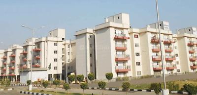 3 BHK Apartment