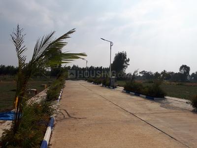 Gallery Cover Image of Sq.ft Residential Plot for buy in Bommasandra for 2045000