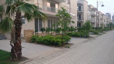 4 BHK Independent Builder Floor