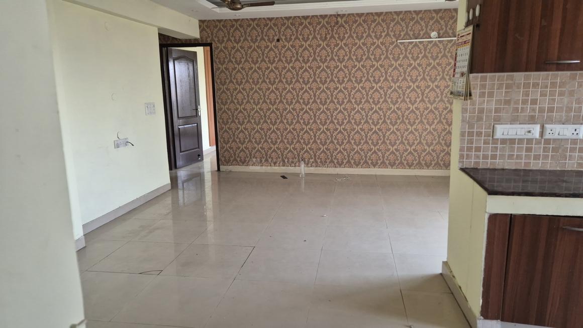 Sethi Max Royal - Image 8