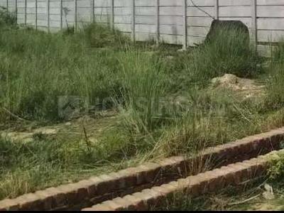 Gallery Cover Image of Sq.ft Residential Plot for buy in Naubasta for 700000