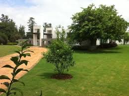 Gallery Cover Image of Sq.ft Residential Plot for buy in DLF Farms for 227500000