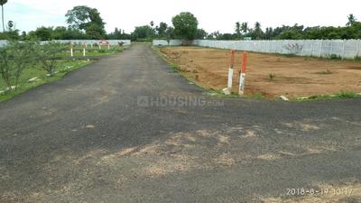 Residential Plot
