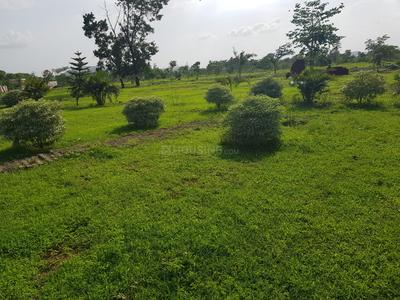 Gallery Cover Image of Sq.ft Residential Plot for buy in Murbad for 800000