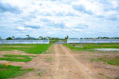 Residential Plot