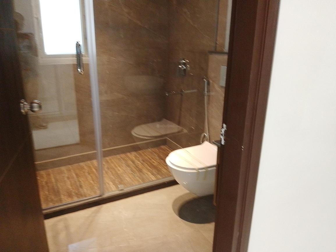 AIG Aigin Royal - Image 17