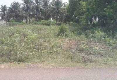 Gallery Cover Image of Sq.ft Residential Plot for buy in Cheran Ma Nagar for 5000000