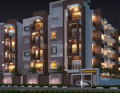 1 BHK Apartment