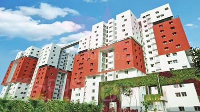 3 BHK Apartment
