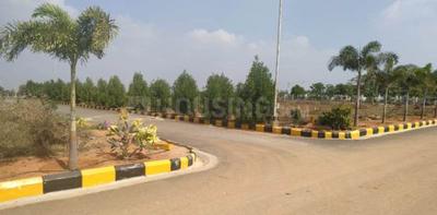 Residential Plot