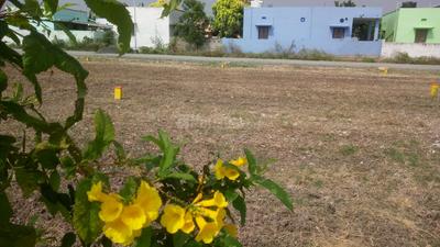 Gallery Cover Image of Sq.ft Residential Plot for buy in Neelambur for 2930000