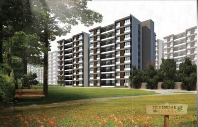 3 BHK Apartment