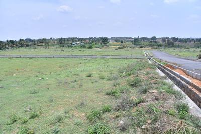 Gallery Cover Image of Sq.ft Residential Plot for buy in Hosur for 1980000
