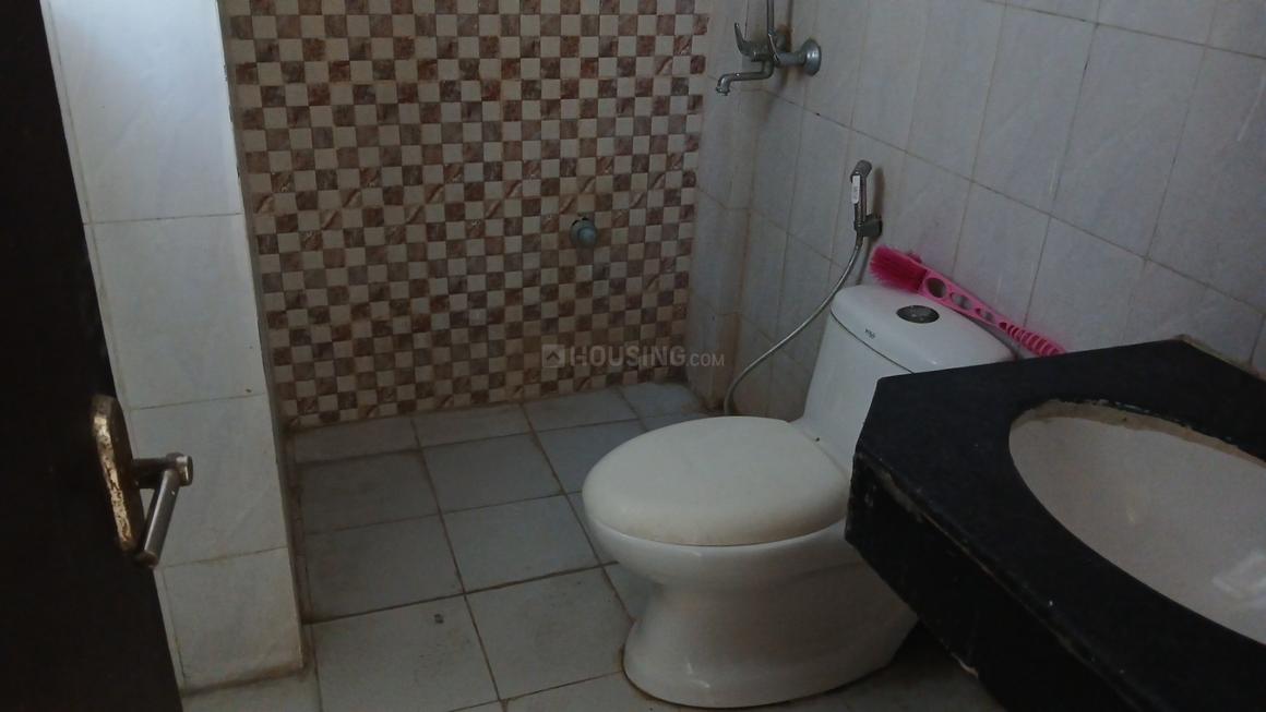 Today Kings Park - Image 8