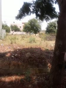 Residential Plot