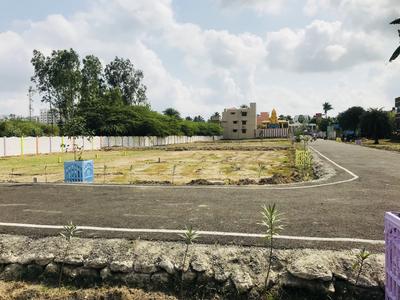 Residential Plot