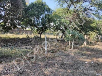 10890 Sq.ft Residential Plot for Sale in Gulmohar Colony, Bhopal