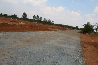 Residential Plot