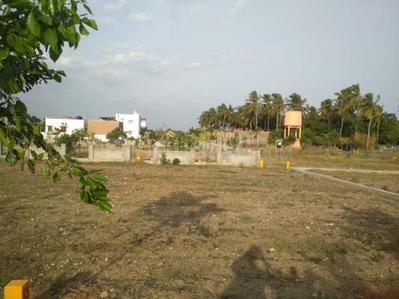 Residential Plot