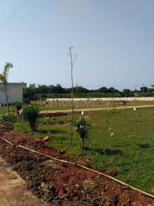 Residential Plot