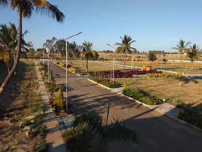 Residential Plot