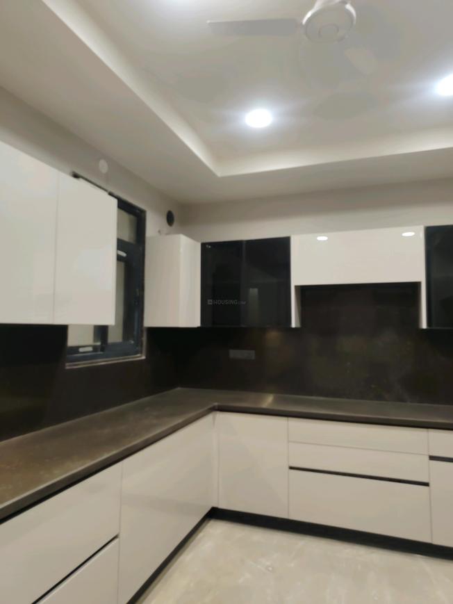 Ireo Skyon - Image 22