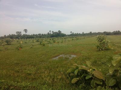 Gallery Cover Image of Sq.ft Residential Plot for buy in Chengalpattu for 280000