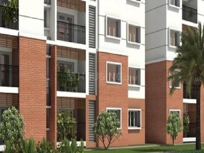 3 BHK Apartment