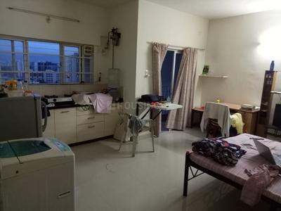 1 RK Apartment