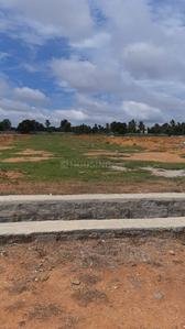 Gallery Cover Image of 1000 Sq.ft 2 BHK Independent Floor for buy in Jigani for 4300000