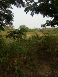 Gallery Cover Image of Sq.ft Residential Plot for buy in Rajendra Nagar for 15000000