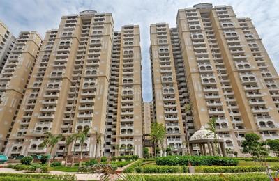 3 BHK Apartment