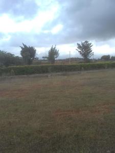 Gallery Cover Image of Sq.ft Residential Plot for buy in HSR Layout for 43200000