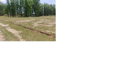 900 Sq.ft Residential Plot for Sale in Doiwala, Dehradun