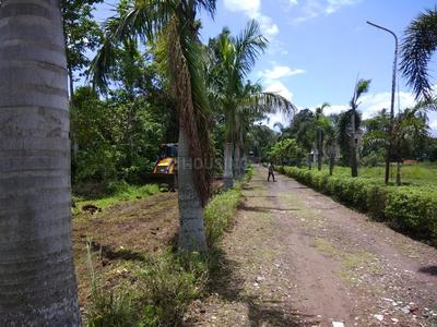 Residential Plot