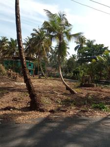 500 Sq.ft Residential Plot for Sale in Salcete, Goa