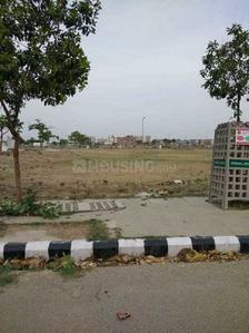 2250 Sq.ft Residential Plot for Sale in Sector 78, Faridabad