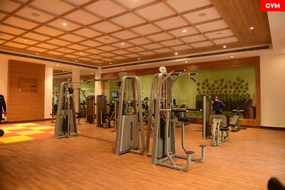 3 BHK Apartment