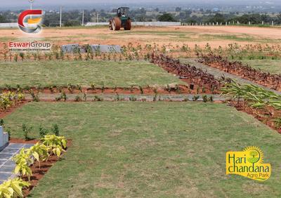 Residential Plot