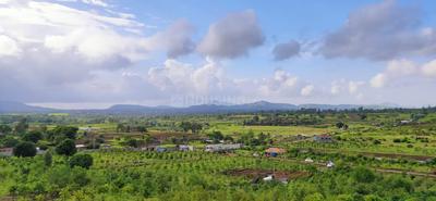 Residential Plot