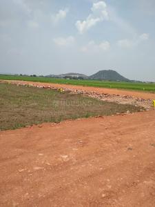 Residential Plot