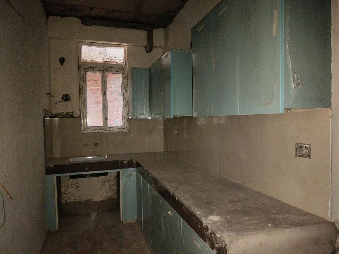 Marshal City Shine - Image 14