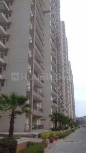 3 BHK Apartment